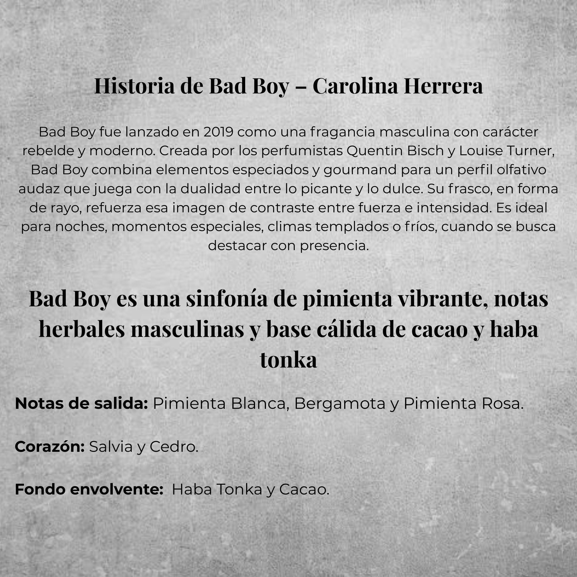 Carolina Herrera Bad Boy EDT 100ml