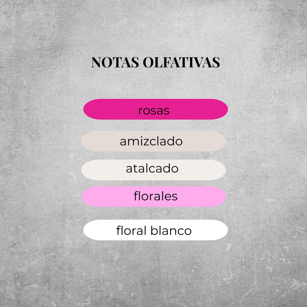 Montale Roses Musk EDP 100ml